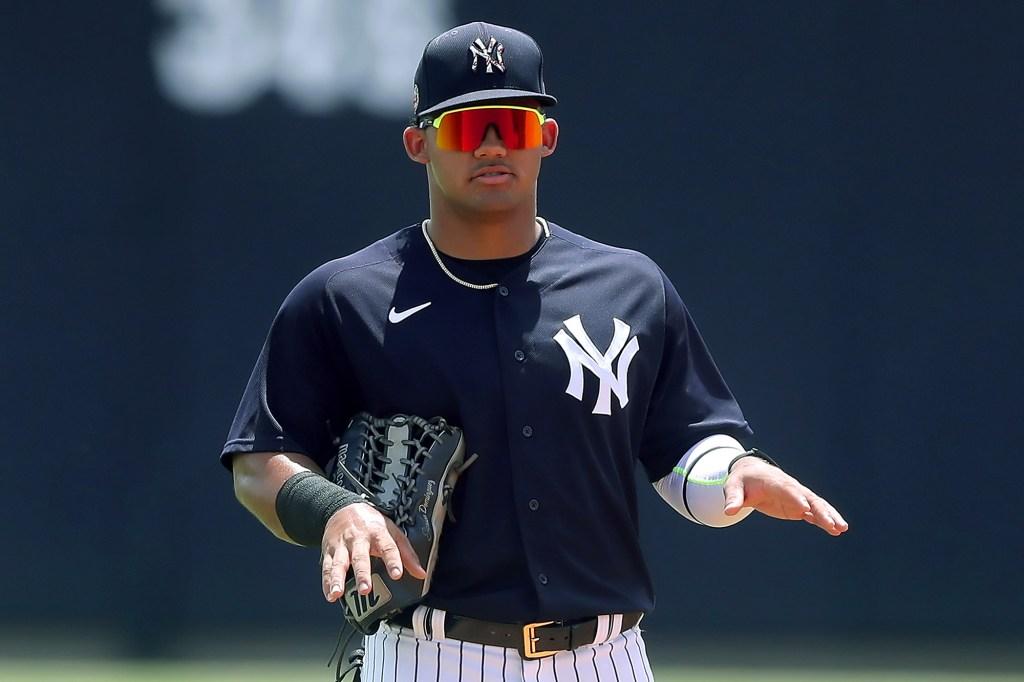 Jasson Dominguez: Key to Yankees’ 2025 Success