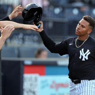 Jorbit Vivas Yankees: Roster Move and Future Prospects
