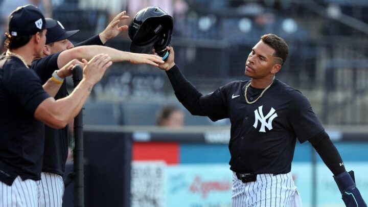 Jorbit Vivas Yankees: Roster Move and Future Prospects