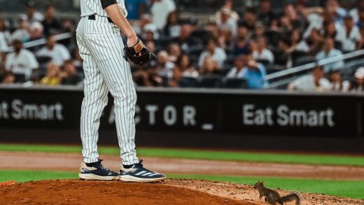 Squirrel Steals the Show at Yankee Stadium