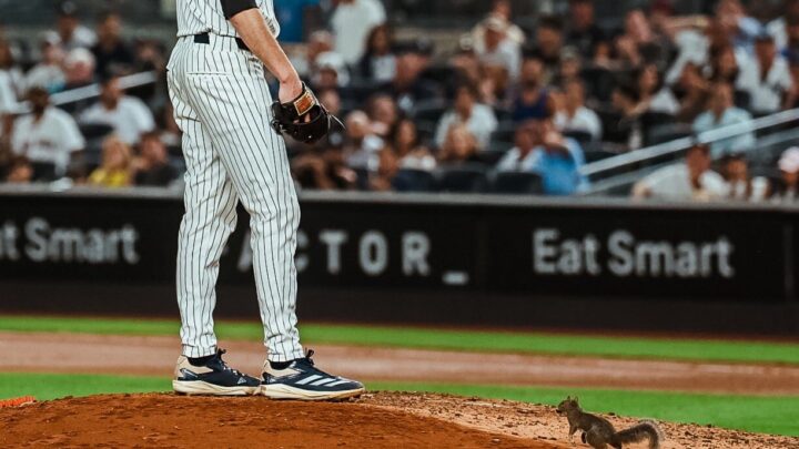 Squirrel Steals the Show at Yankee Stadium