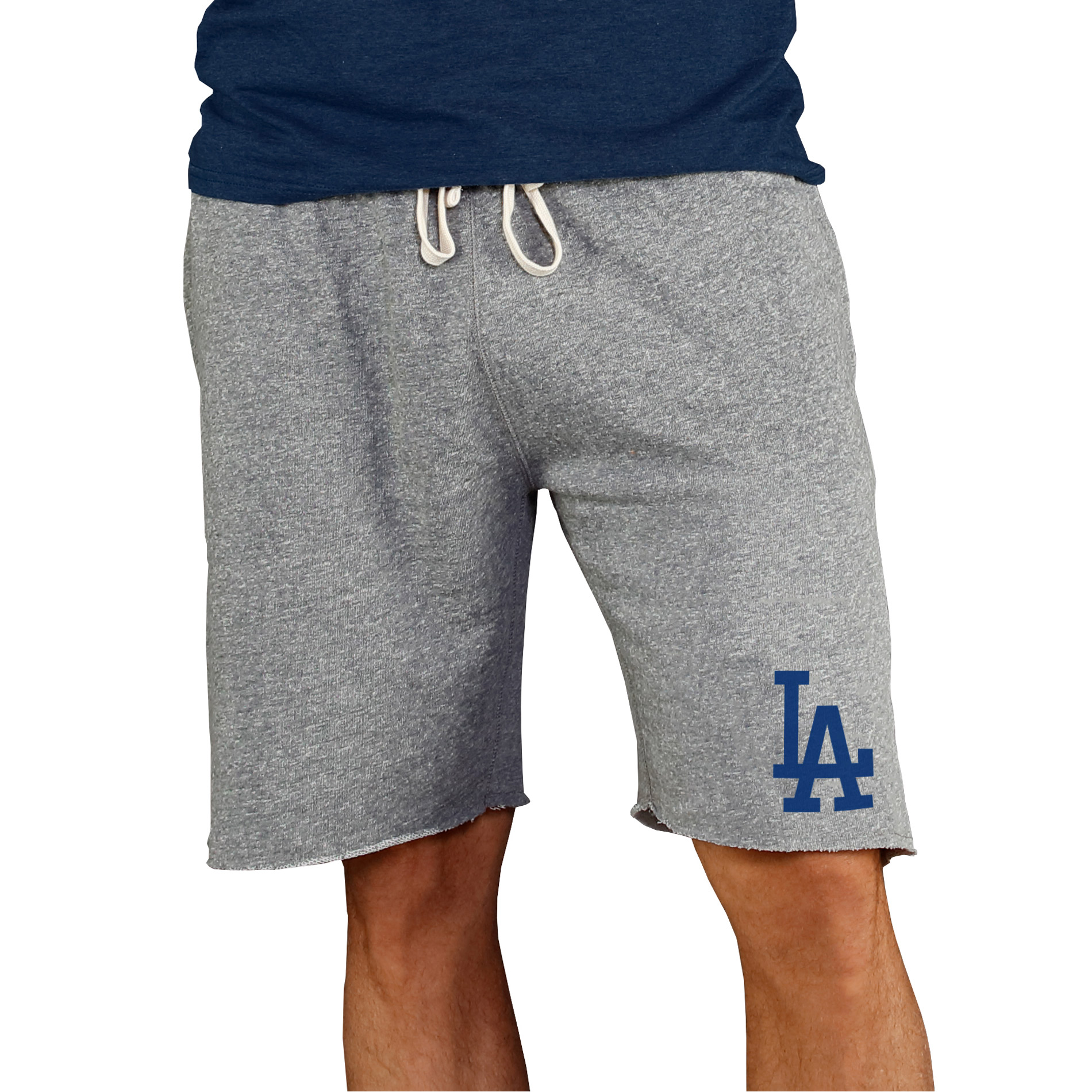 Men’s Concepts Sport Gray Los Angeles Dodgers Mainstream Terry Shorts