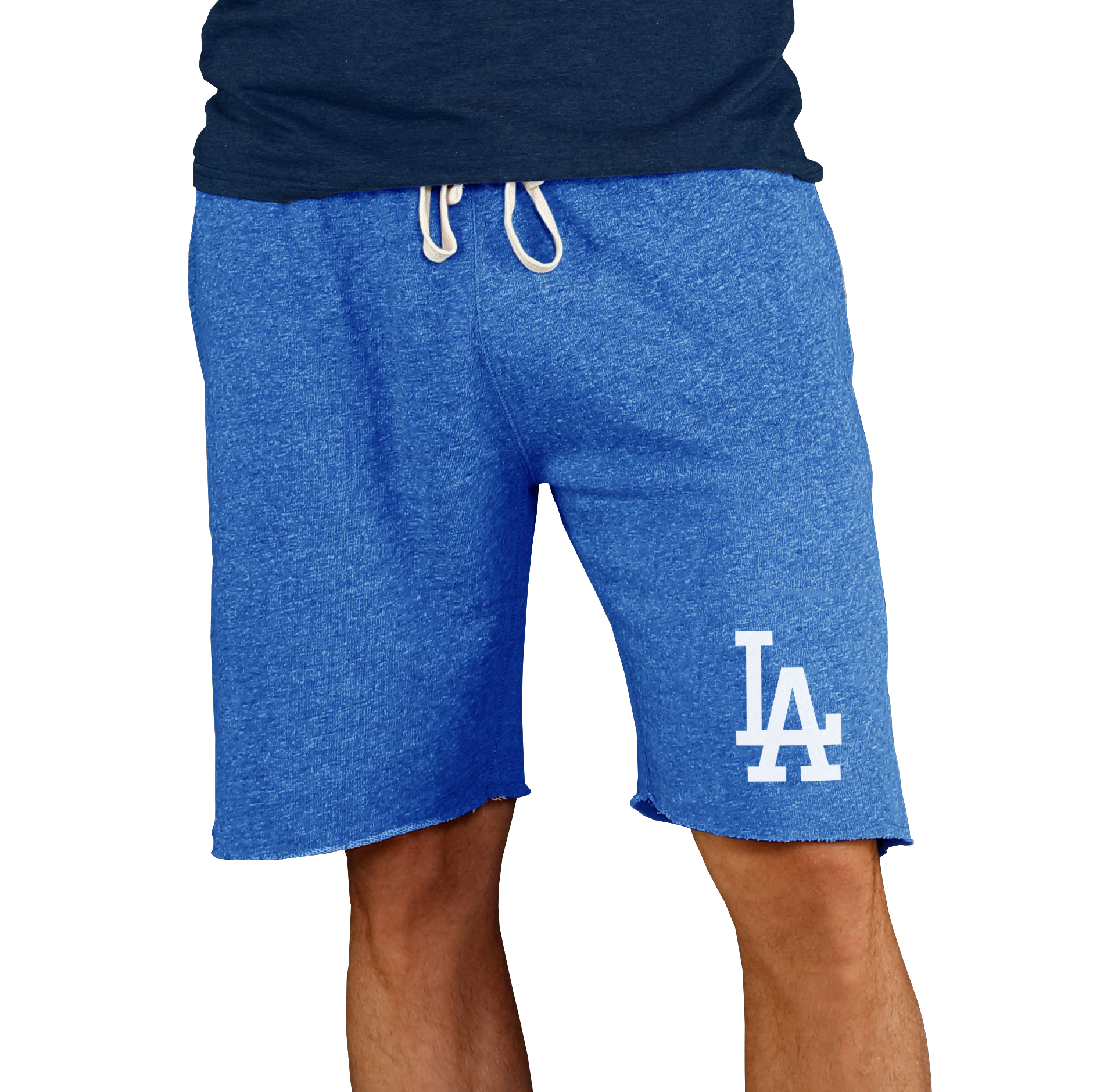 Men’s Concepts Sport Royal Los Angeles Dodgers Mainstream Terry Shorts